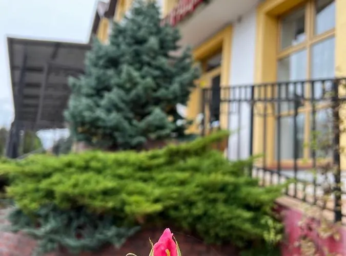 Бобри Плюс